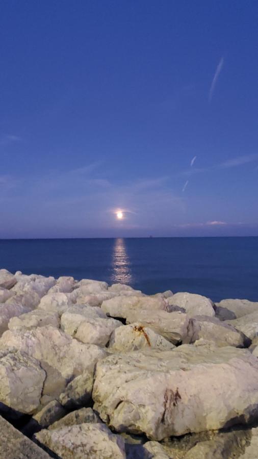B&B Lido Apartament 10A Civitanova Marche Extérieur photo